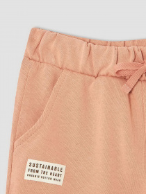 Штаны спортивные DeFacto модель V3815A6-OG270 Фото