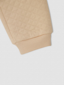 Штаны спортивные DeFacto модель V1412A6-ER120 Фото