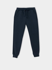 Спортивні штани DeFacto модель R5970A6-BE282 Фото