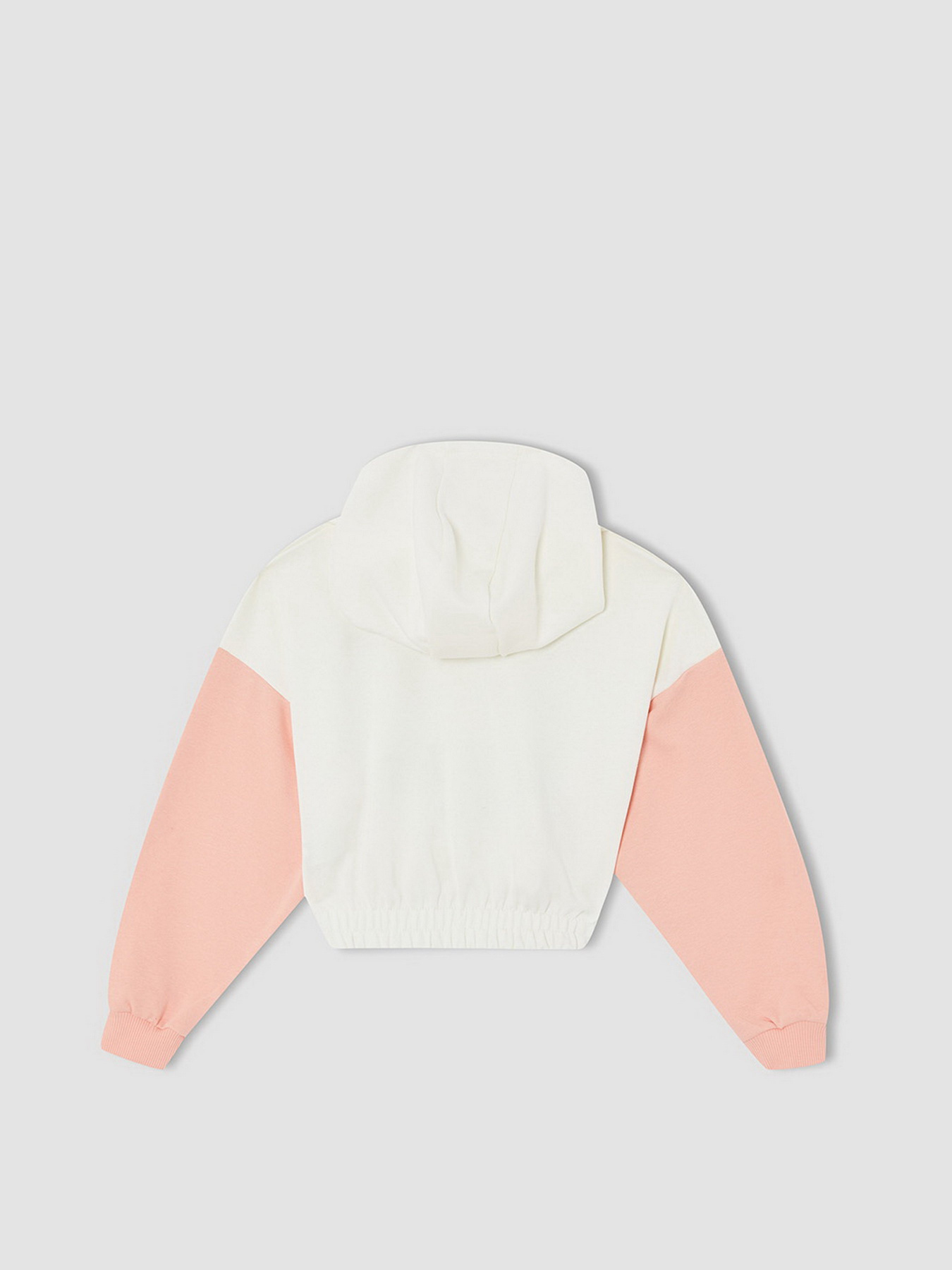 Худи DeFacto модель W0927A6-ER139 Фото