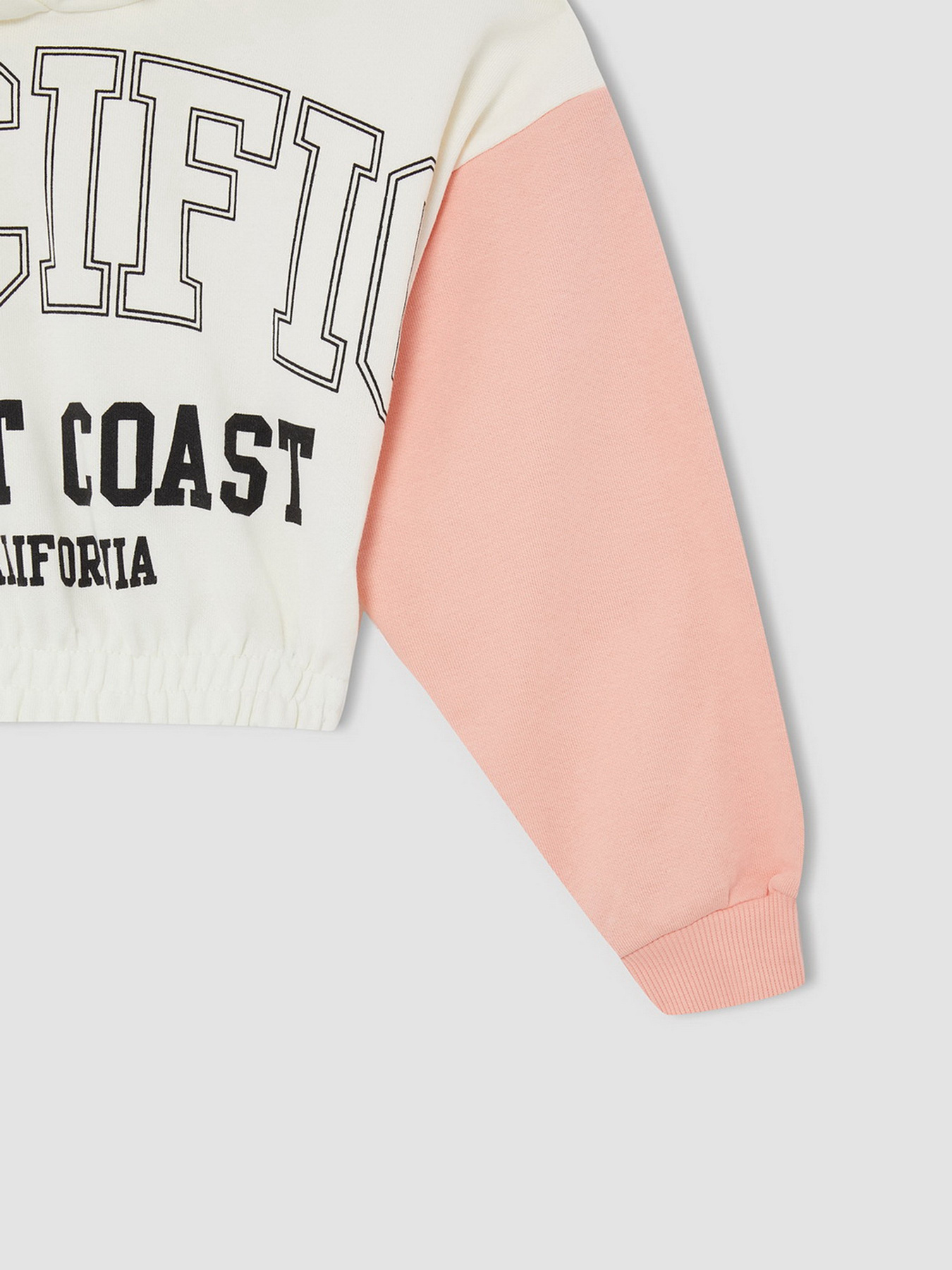 Худи DeFacto модель W0927A6-ER139 Фото