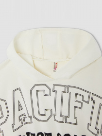 Худи DeFacto модель W0927A6-ER139 Фото