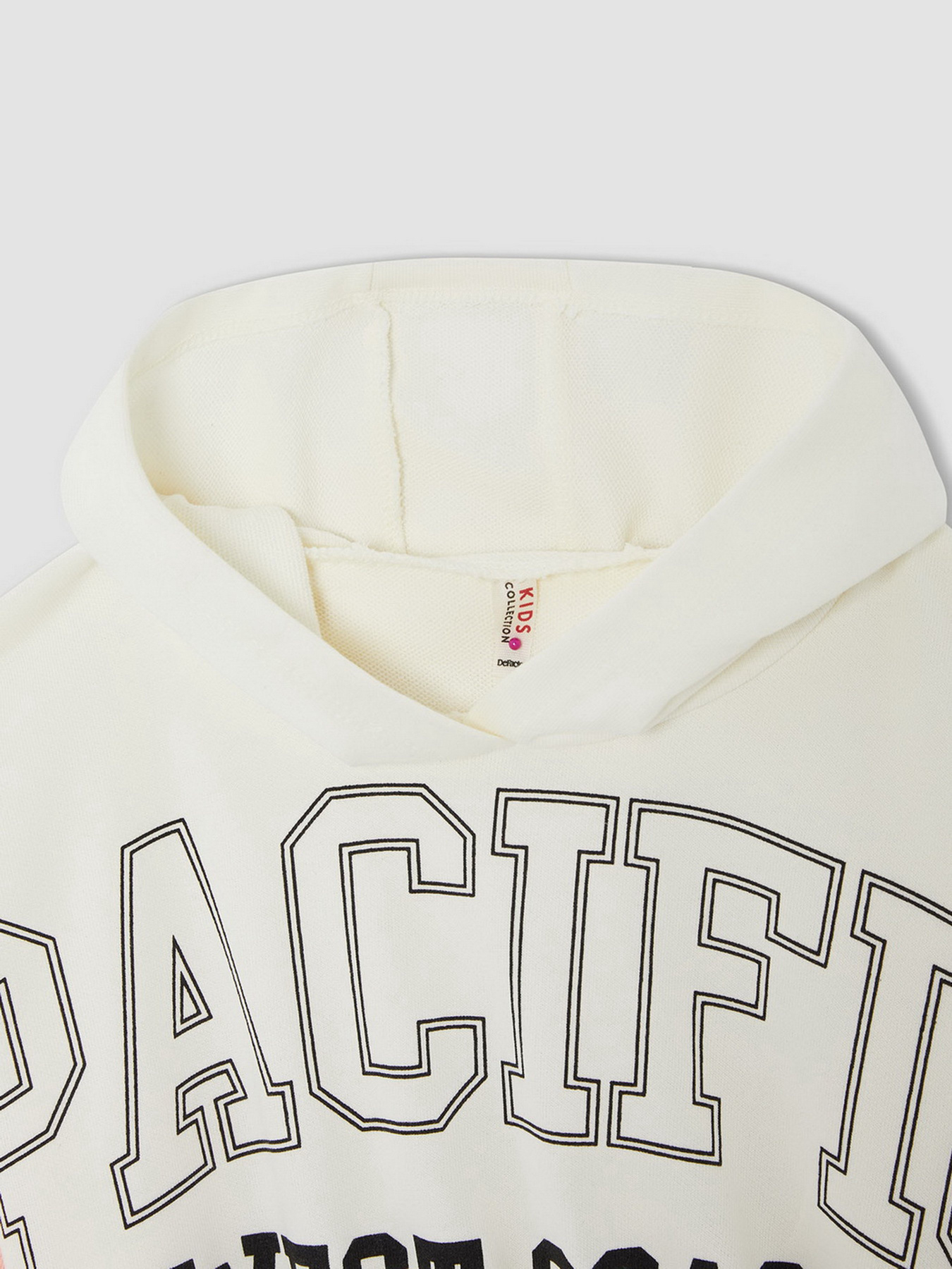 Худи DeFacto модель W0927A6-ER139 Фото