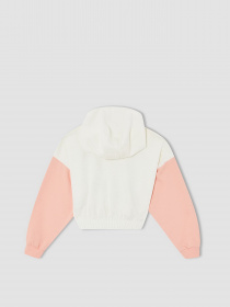 Худи DeFacto модель W0927A6-ER139 Фото