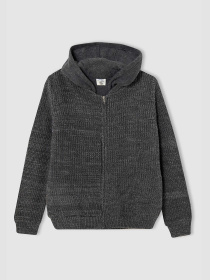 Кардиган DeFacto модель U4281A6-GR228 Фото