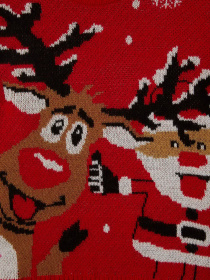 Джемпер DeFacto модель U6118A6-RD296 Фото