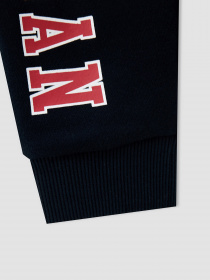 Штаны спортивные DeFacto модель W4589A6-NV30 Фото