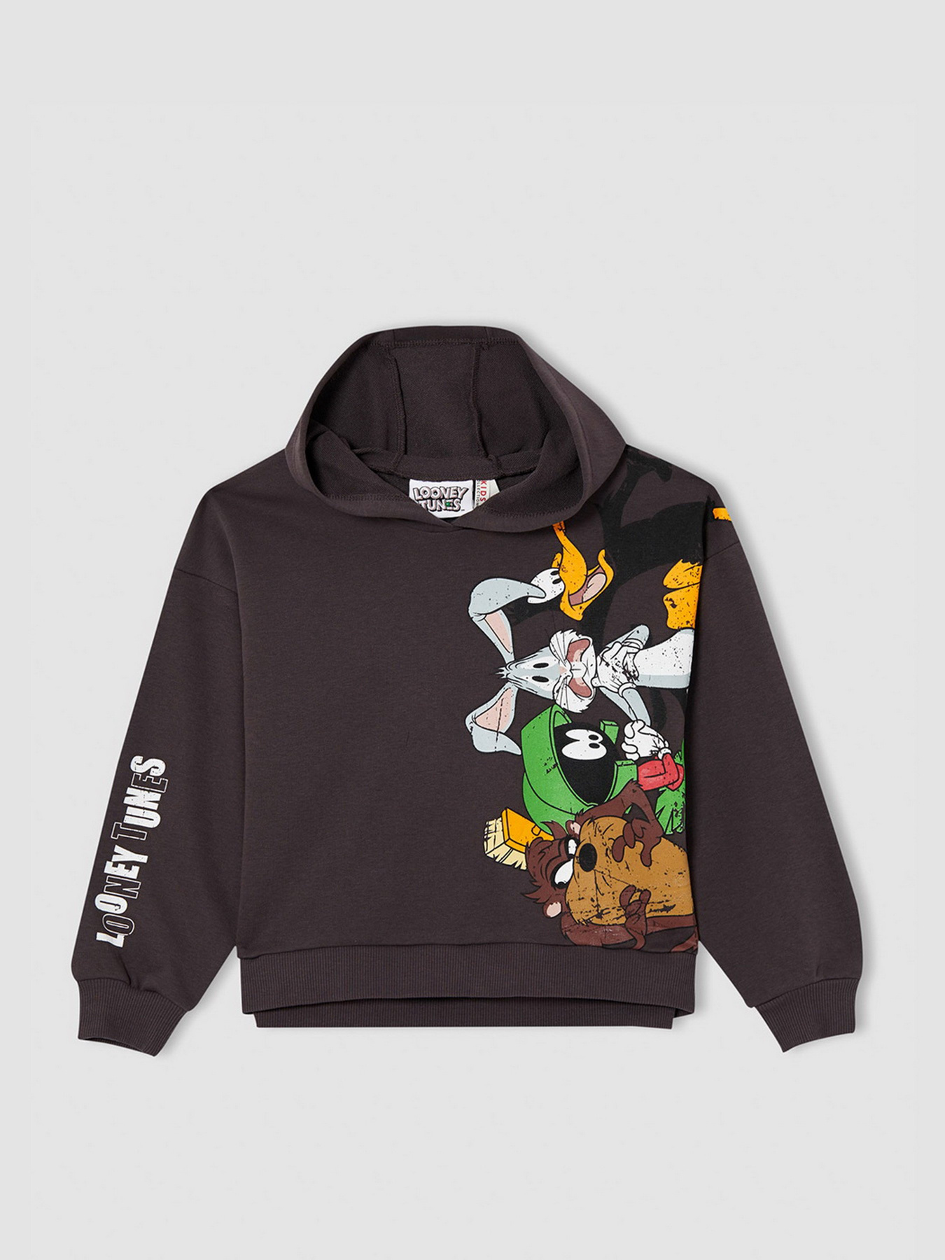 Худи DeFacto модель V6536A6-AR203 Фото