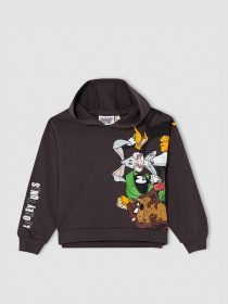 Худи DeFacto модель V6536A6-AR203 Фото