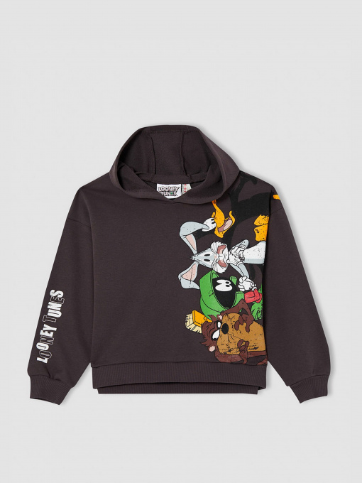 Худи DeFacto модель V6536A6-AR203 Фото