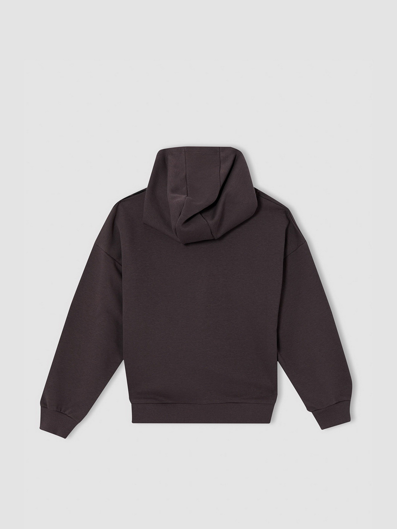 Худи DeFacto модель V6536A6-AR203 Фото