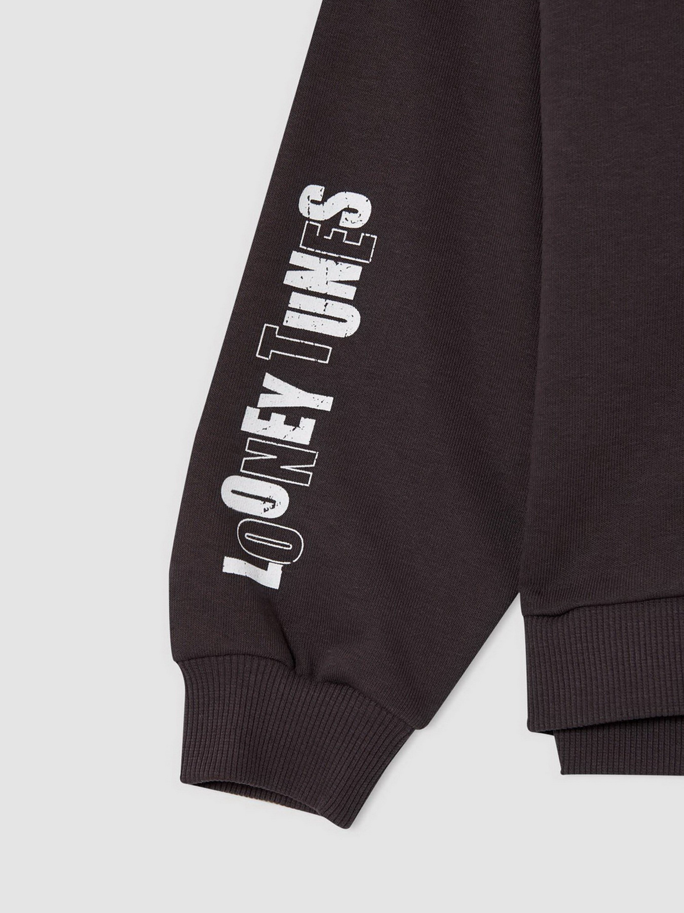 Худи DeFacto модель V6536A6-AR203 Фото