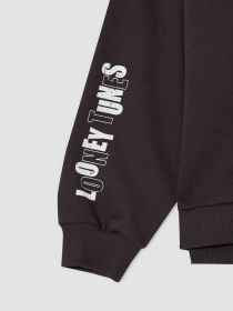 Худи DeFacto модель V6536A6-AR203 Фото