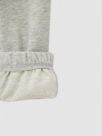 Штаны спортивные DeFacto модель V4071A6-GR393 Фото