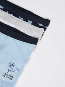 Набор трусов DeFacto модель V7794A6-NV135 Фото