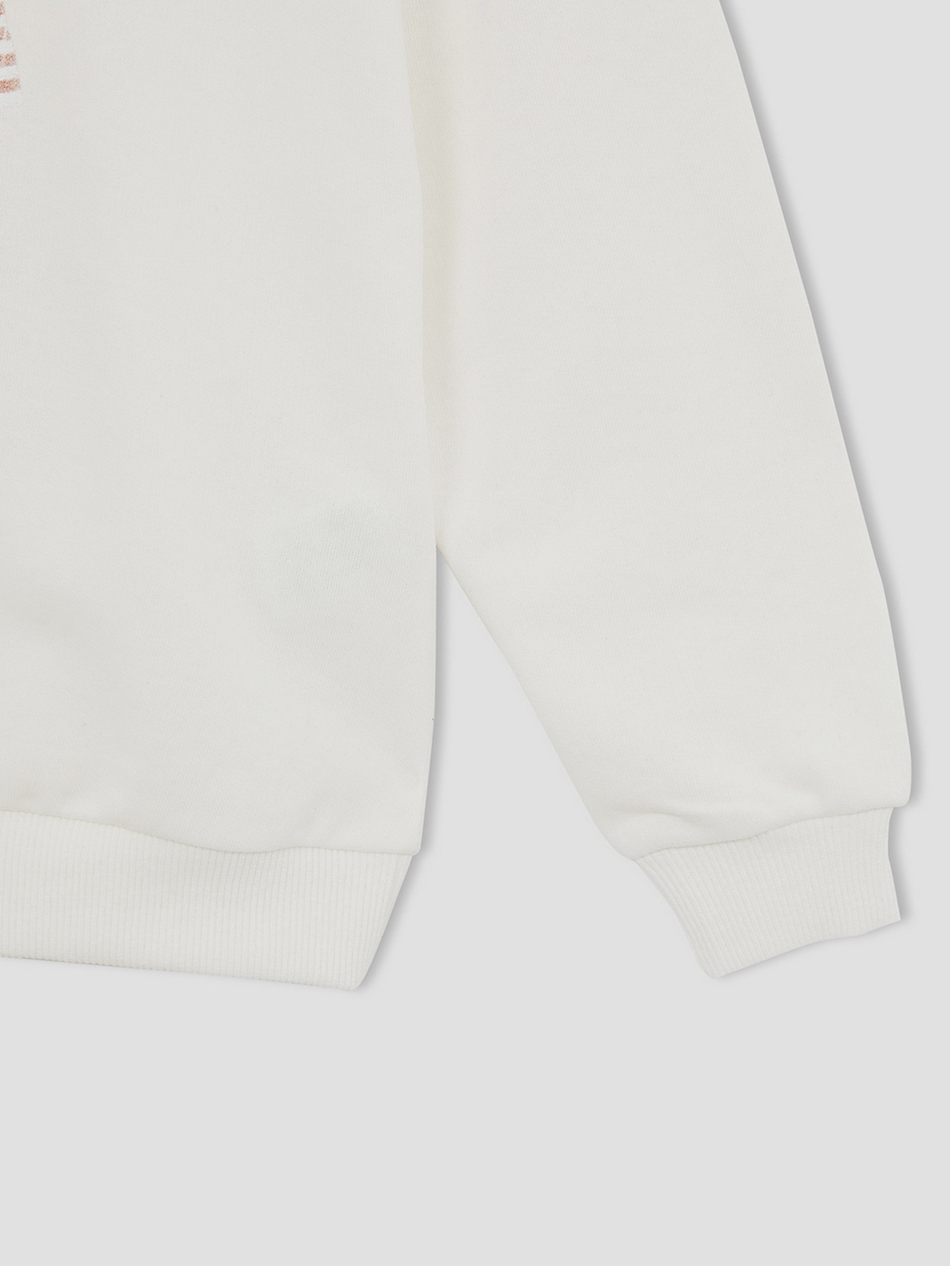 Свитшот DeFacto модель W6678A6-ER105 Фото