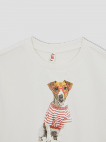 Свитшот DeFacto модель W6678A6-ER105 Фото