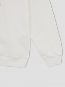 Свитшот DeFacto модель W6678A6-ER105 Фото