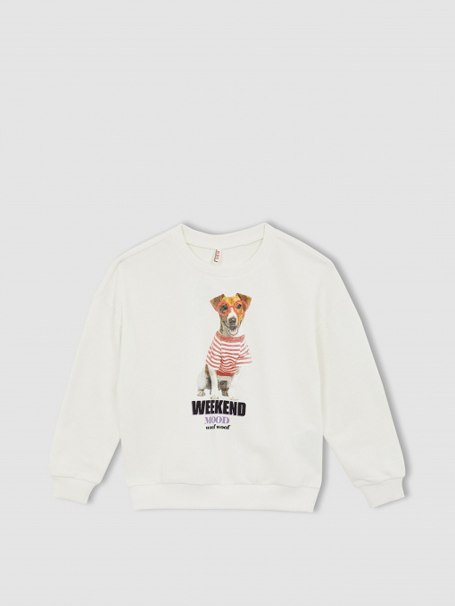 Світшот DeFacto модель W6678A6-ER105 Фото