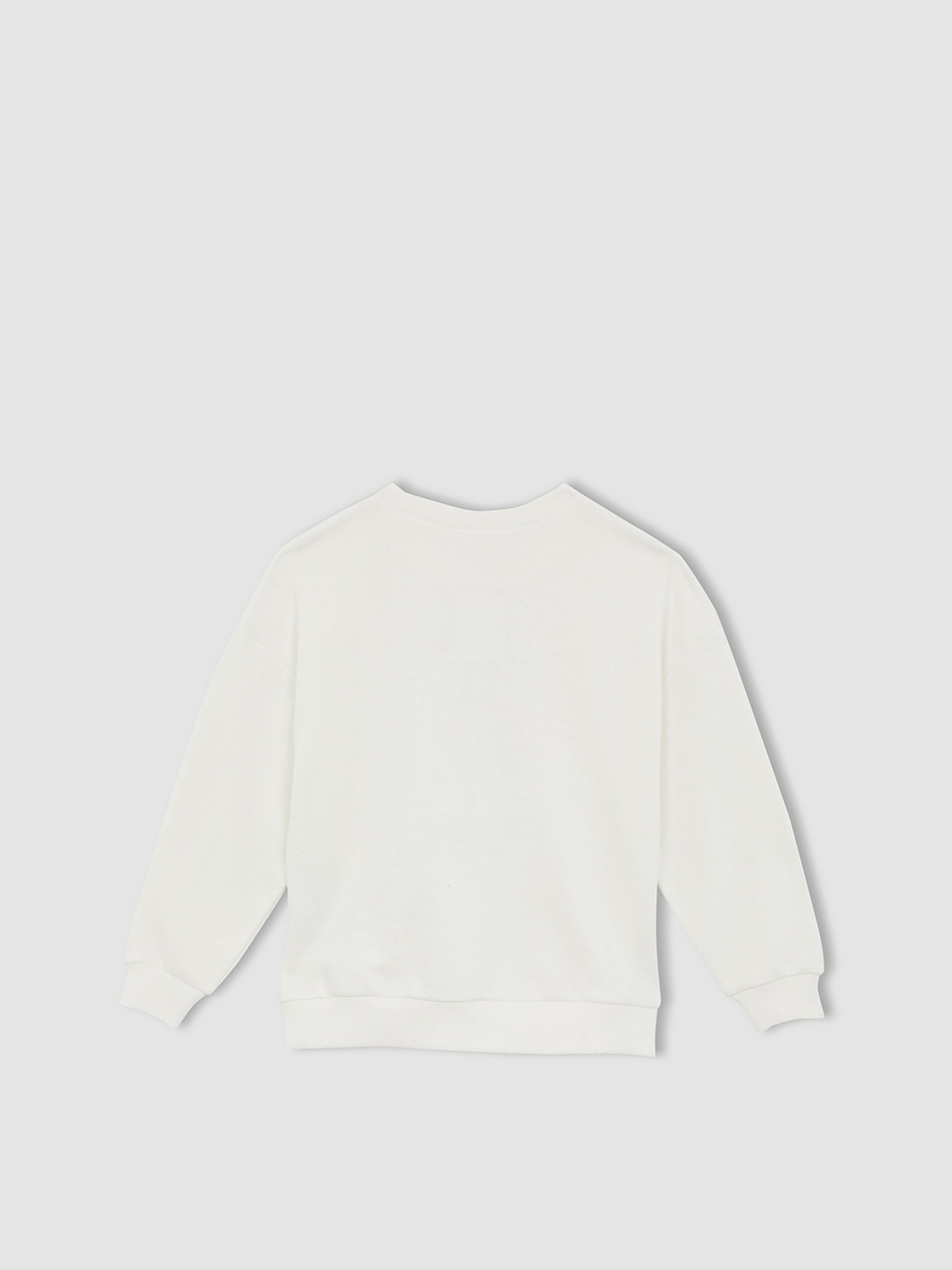 Свитшот DeFacto модель W6678A6-ER105 Фото