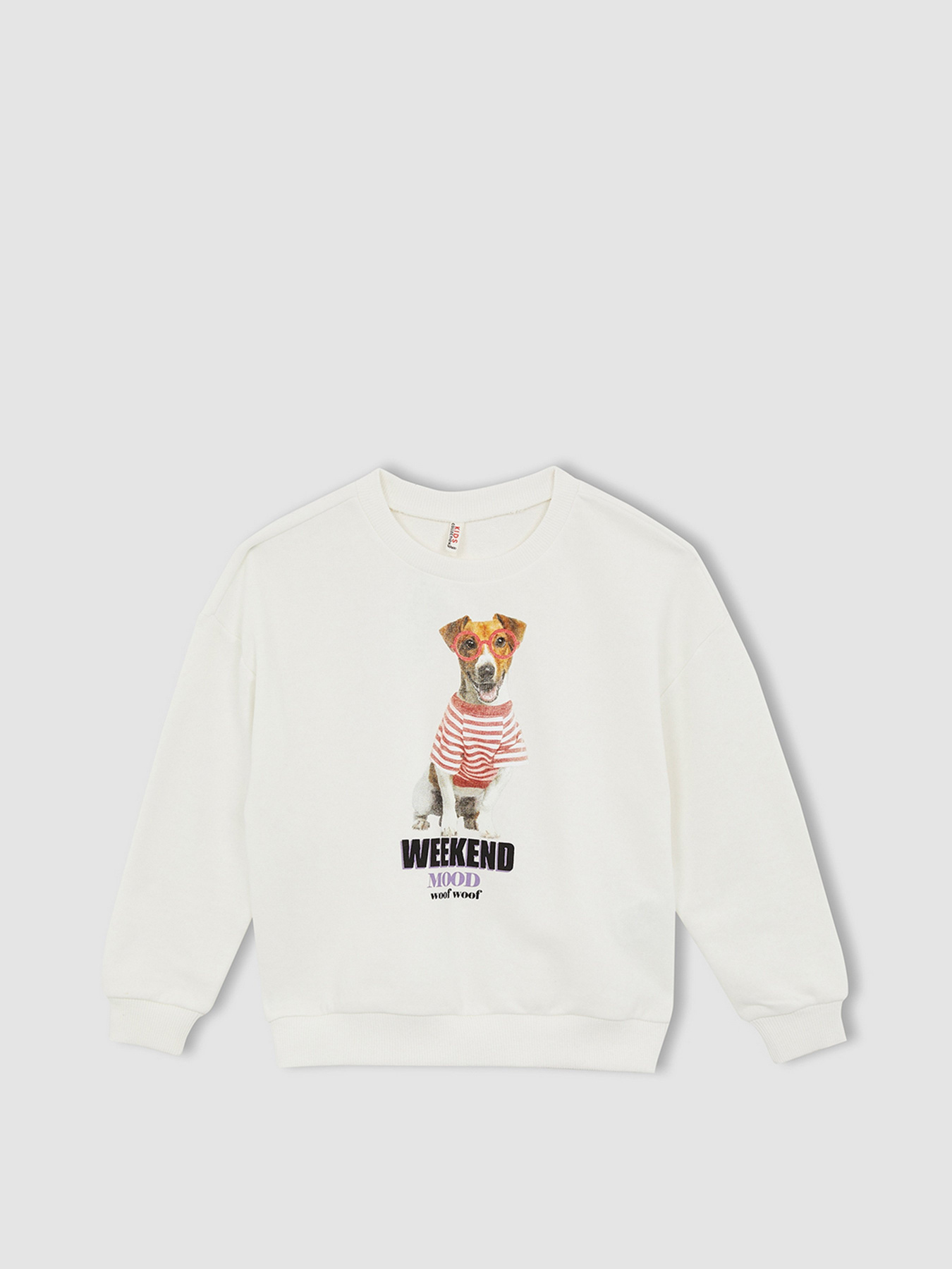 Свитшот DeFacto модель W6678A6-ER105 Фото