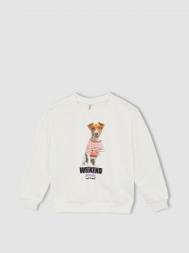 Свитшот DeFacto модель W6678A6-ER105 Фото