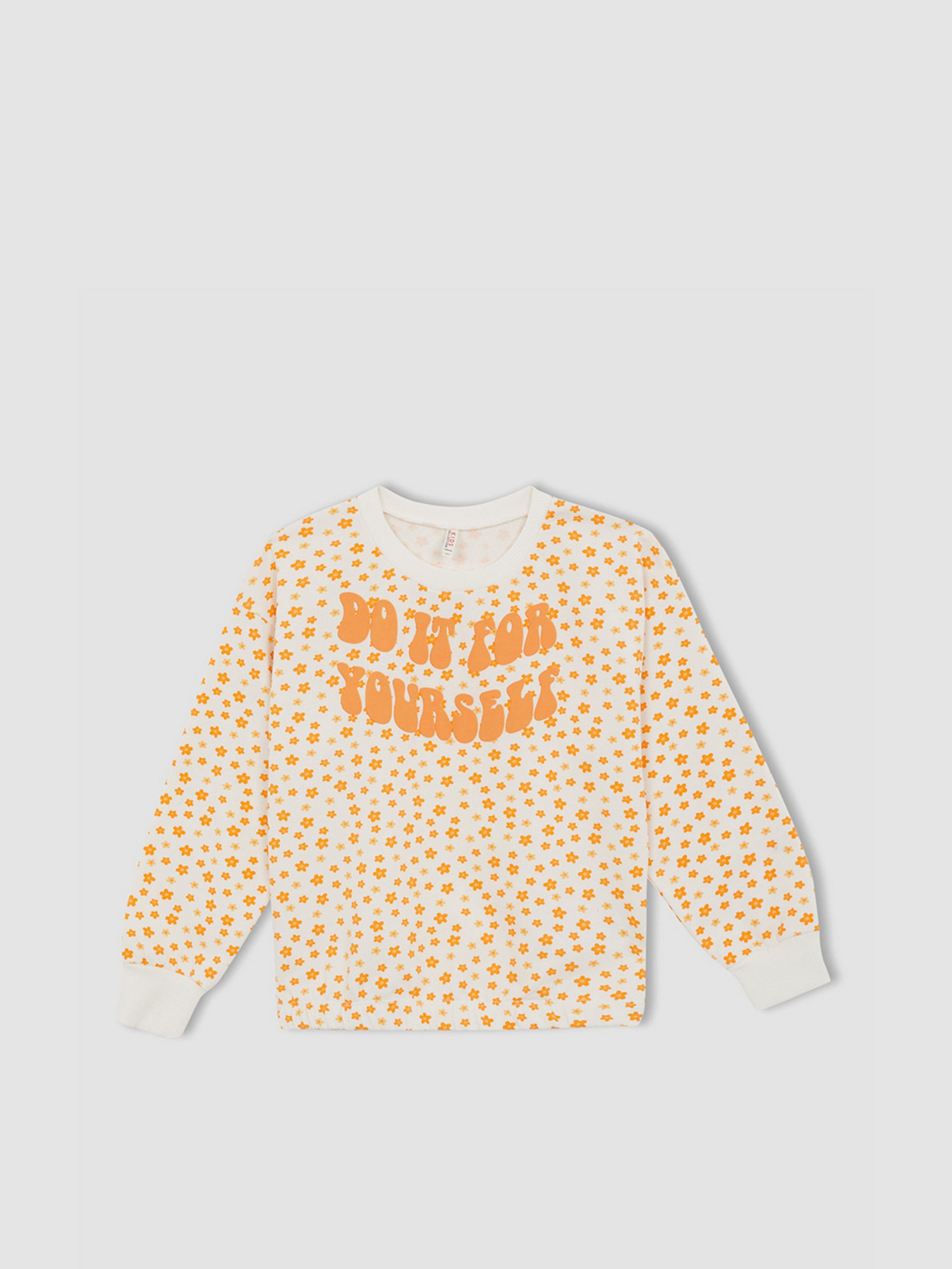 Свитшот DeFacto модель W8782A6-BG285 Фото