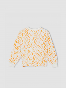 Свитшот DeFacto модель W8782A6-BG285 Фото