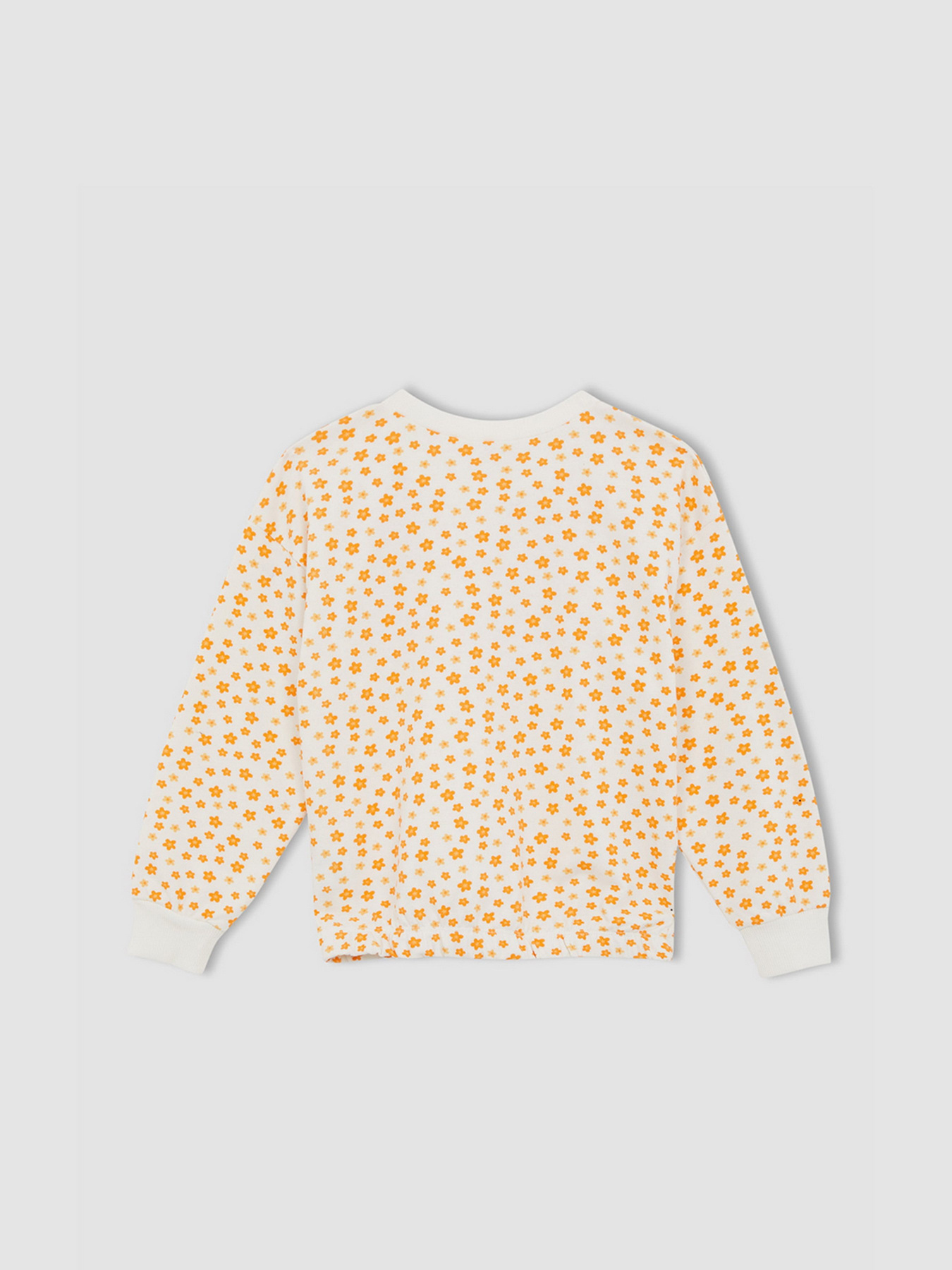 Свитшот DeFacto модель W8782A6-BG285 Фото