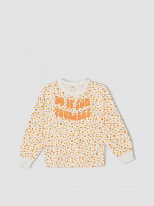 Свитшот DeFacto модель W8782A6-BG285 Фото