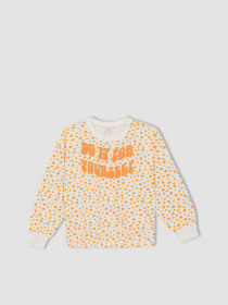 Свитшот DeFacto модель W8782A6-BG285 Фото