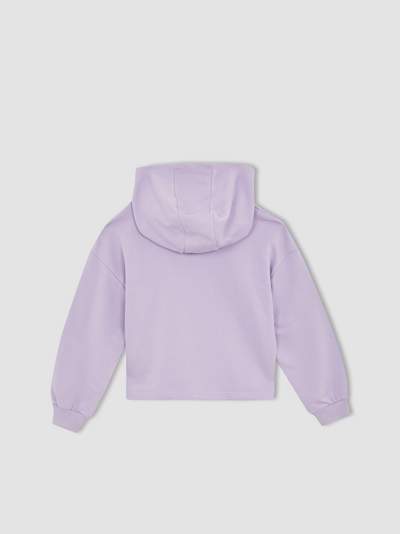 Худи DeFacto модель W7108A6-PR251 Фото