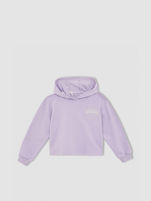 Худи DeFacto модель W7108A6-PR251 Фото