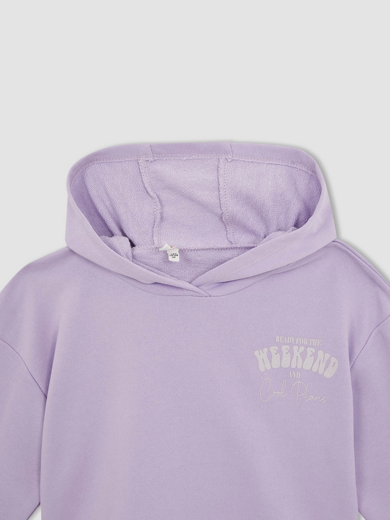 Худи DeFacto модель W7108A6-PR251 Фото