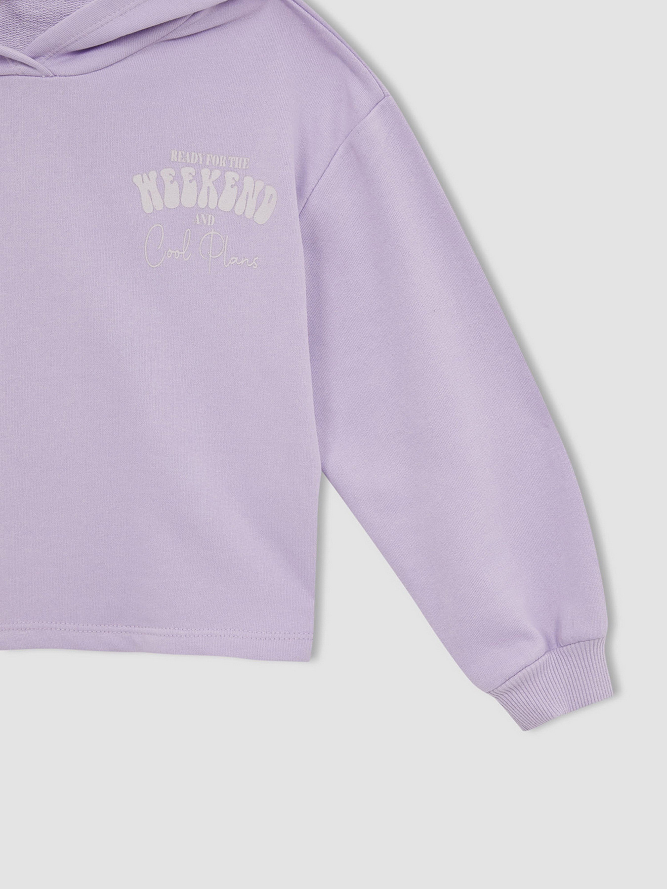 Худи DeFacto модель W7108A6-PR251 Фото