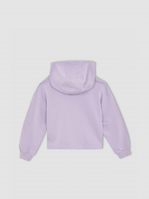 Худи DeFacto модель W7108A6-PR251 Фото