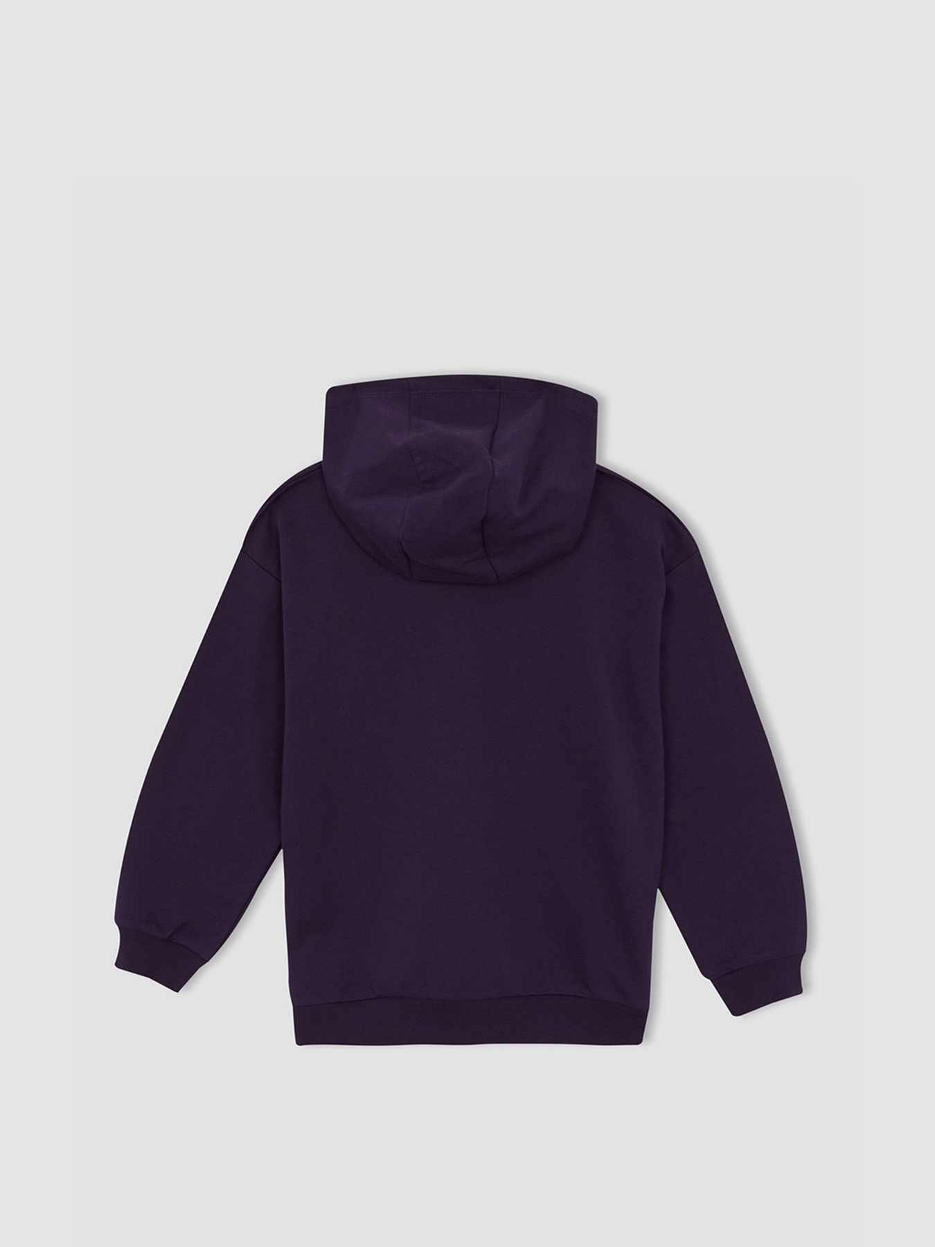 Худи DeFacto модель W7780A6-PR433 Фото