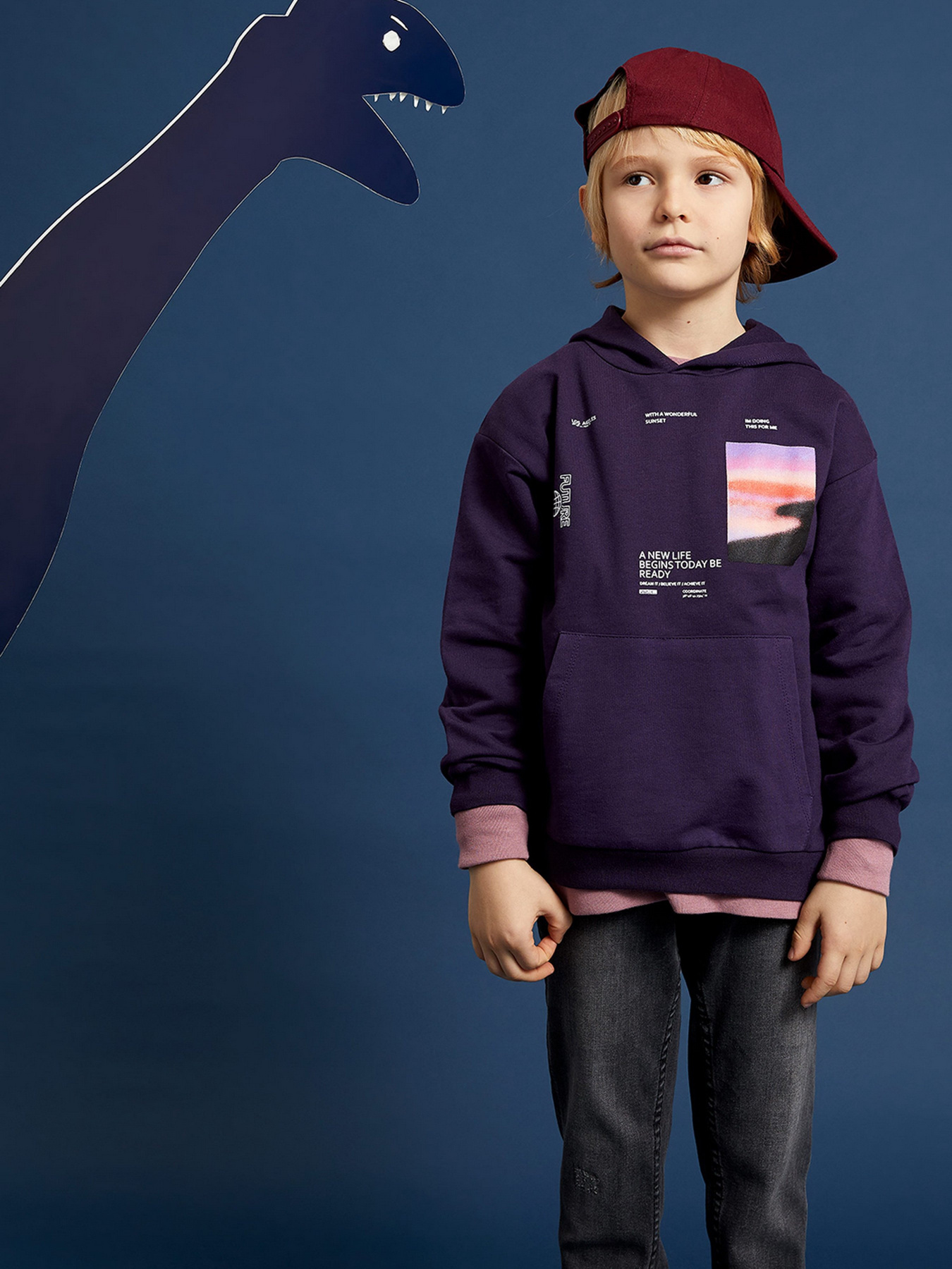 Худи DeFacto модель W7780A6-PR433 Фото