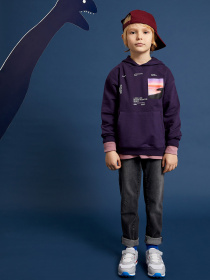 Худи DeFacto модель W7780A6-PR433 Фото