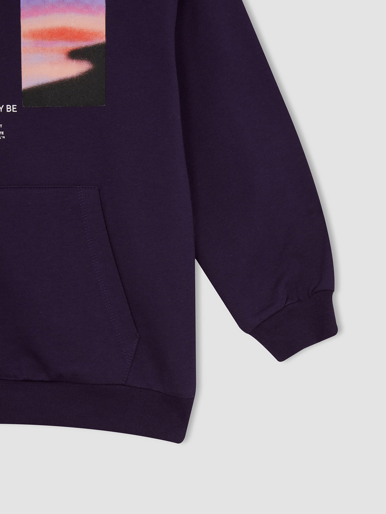 Худі DeFacto модель W7780A6-PR433 Фото