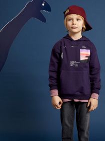 Худі DeFacto модель W7780A6-PR433 Фото