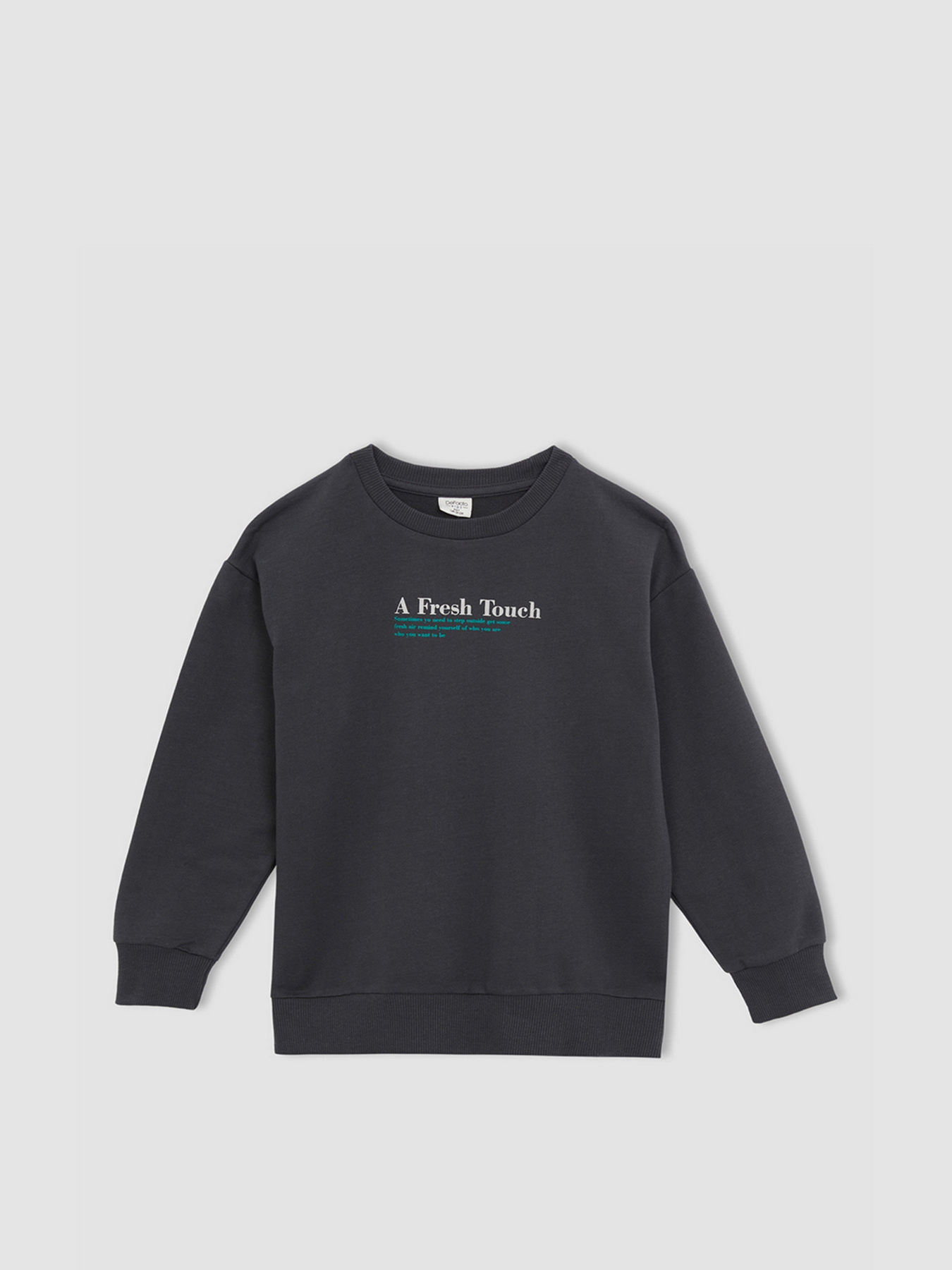 Свитшот DeFacto модель W7783A6-AR202 Фото