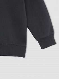 Свитшот DeFacto модель W7783A6-AR202 Фото