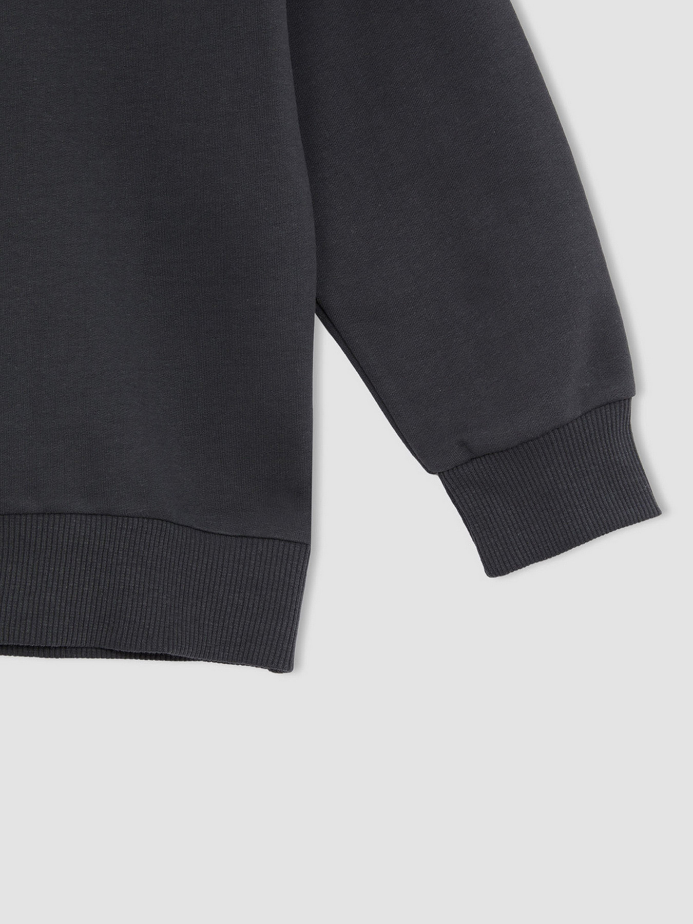 Світшот DeFacto модель W7783A6-AR202 Фото