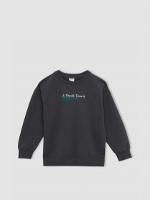 Світшот DeFacto модель W7783A6-AR202 Фото