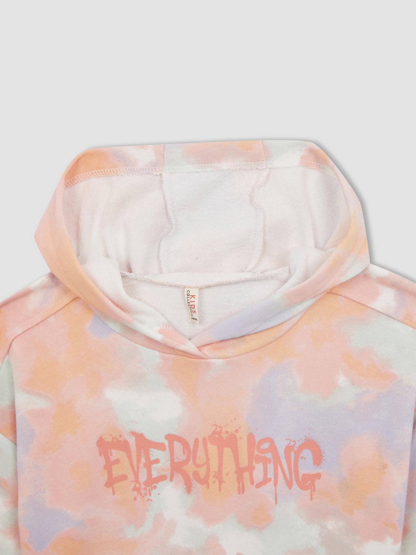 Худи DeFacto модель W7131A6-OG99 Фото