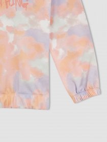 Худи DeFacto модель W7131A6-OG99 Фото