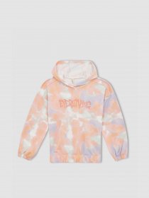 Худи DeFacto модель W7131A6-OG99 Фото