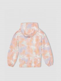 Худи DeFacto модель W7131A6-OG99 Фото