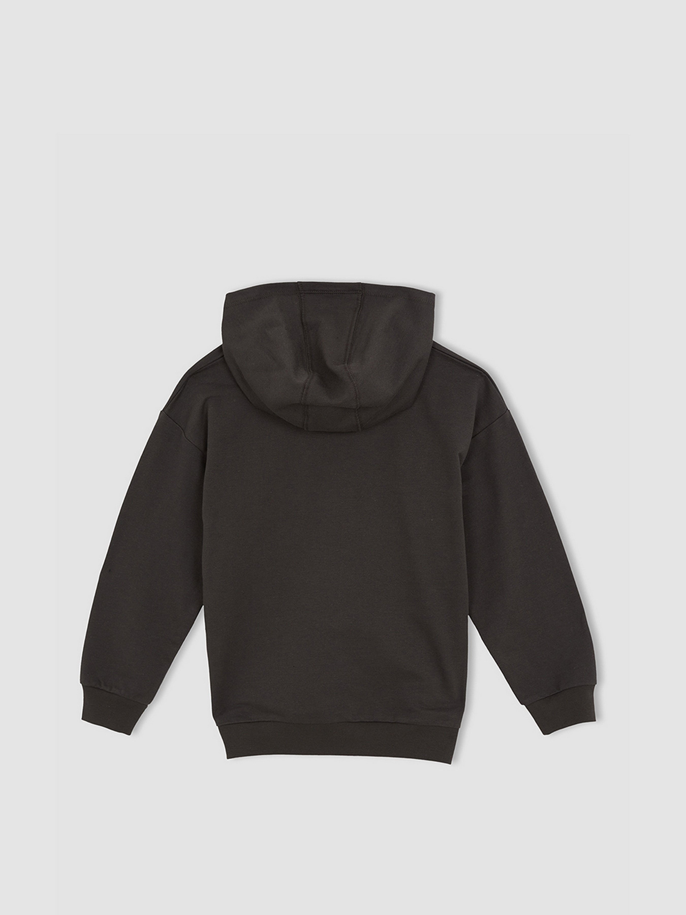 Худи DeFacto модель W6859A6-AR202 Фото